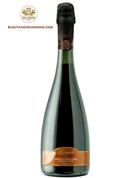 Vang nổ Villa Del Vento Lambrusco Dolce Y Frizzante