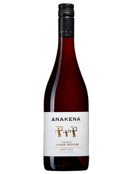 vang-anakena-tama-vineyard-selection-pinot-noir