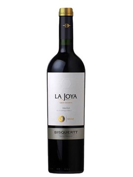 Vang Bisquertt La Joya Gran Reserva Merlot