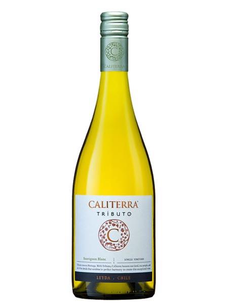 vang-caliterra-tributo-sauvignon-blanc