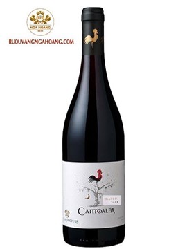 vang Cantoalba Malbec