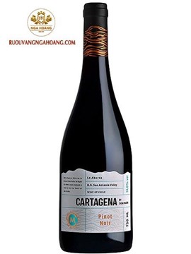 Vang Casa Marin Cartagena Pinot Noir