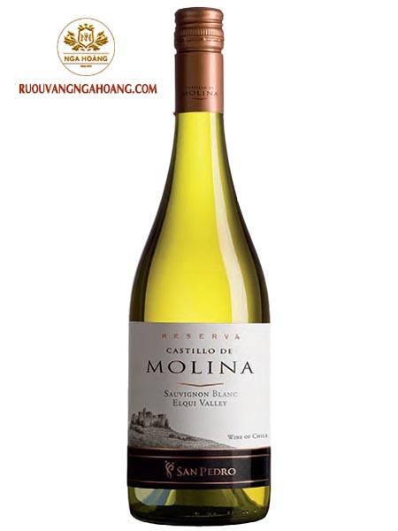 vang-castillo-de-molina-reserva-sauvignon-blanc