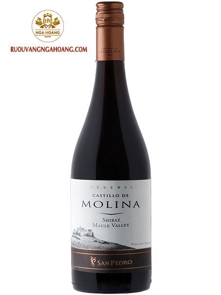 vang-castillo-de-molina-reserva-shiraz