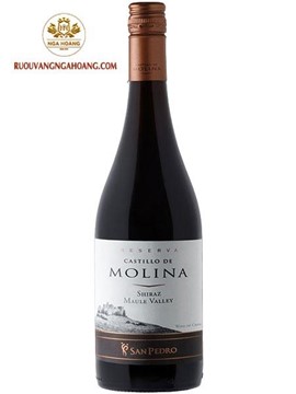 Vang Castillo De Molina Reserva Shiraz