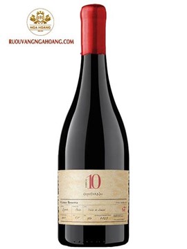 Vang Chile 10 Ocho Tierras Syrah