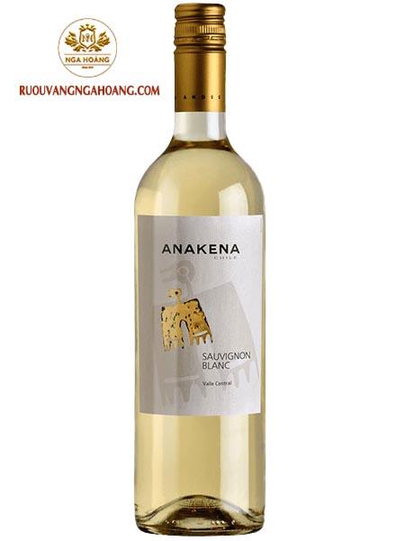 vang-chile-anakena-sauvignon-blanc