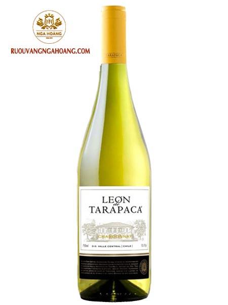 vang-chile-leon-de-tarapaca-chardonnay