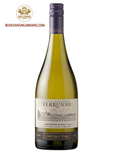 vang-concha-y-toro-terrunyo-sauvignon-blanc-block-5