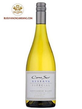 Vang Cono Sur Reserva Especial Sauvignon Blanc