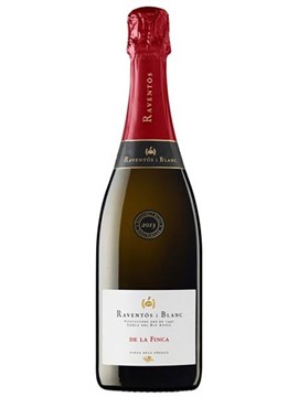 Vang Delafinca Brut Sparkling Raventos