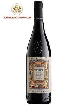 Vang Domini Veneti Amarone Classico