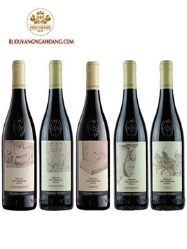 Vang Domini Veneti Amarone Collection – Bộ 5 Chai Amarone