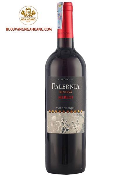 vang-falernia-merlot-reserva