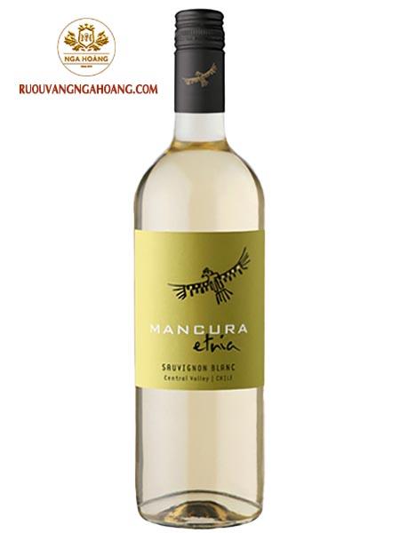 vang-mancura-etnia-sauvignon-blanc