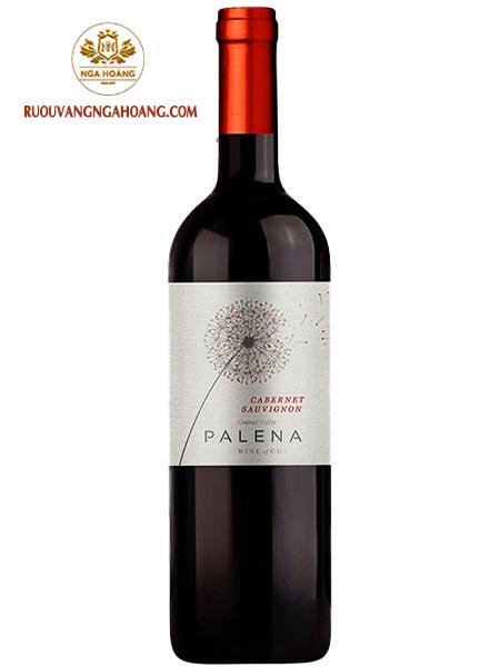 vang-palena-cabernet-sauvignon