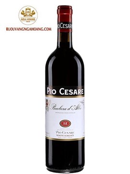 Vang Pio Cesare Barbera D’Alba DOC