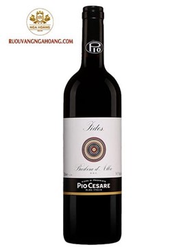 Vang Pio Cesare Fides Barbera D’Alba