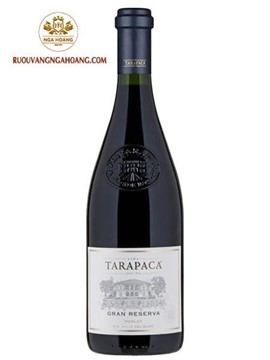 vang Tarapaca Gran Reserva Merlot