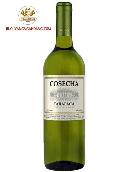 vang-trang-tarapaca-cosecha-sauvignon-blanc