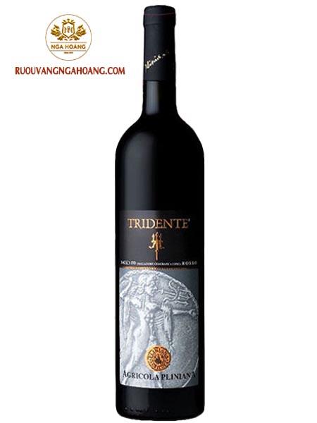 vang-tridente-salento-rosso-cantine-di-marco