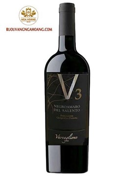 Vang V3 Negroamaro Del Salento IGP